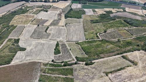 DJI_20260706152422_0006_D.JPG